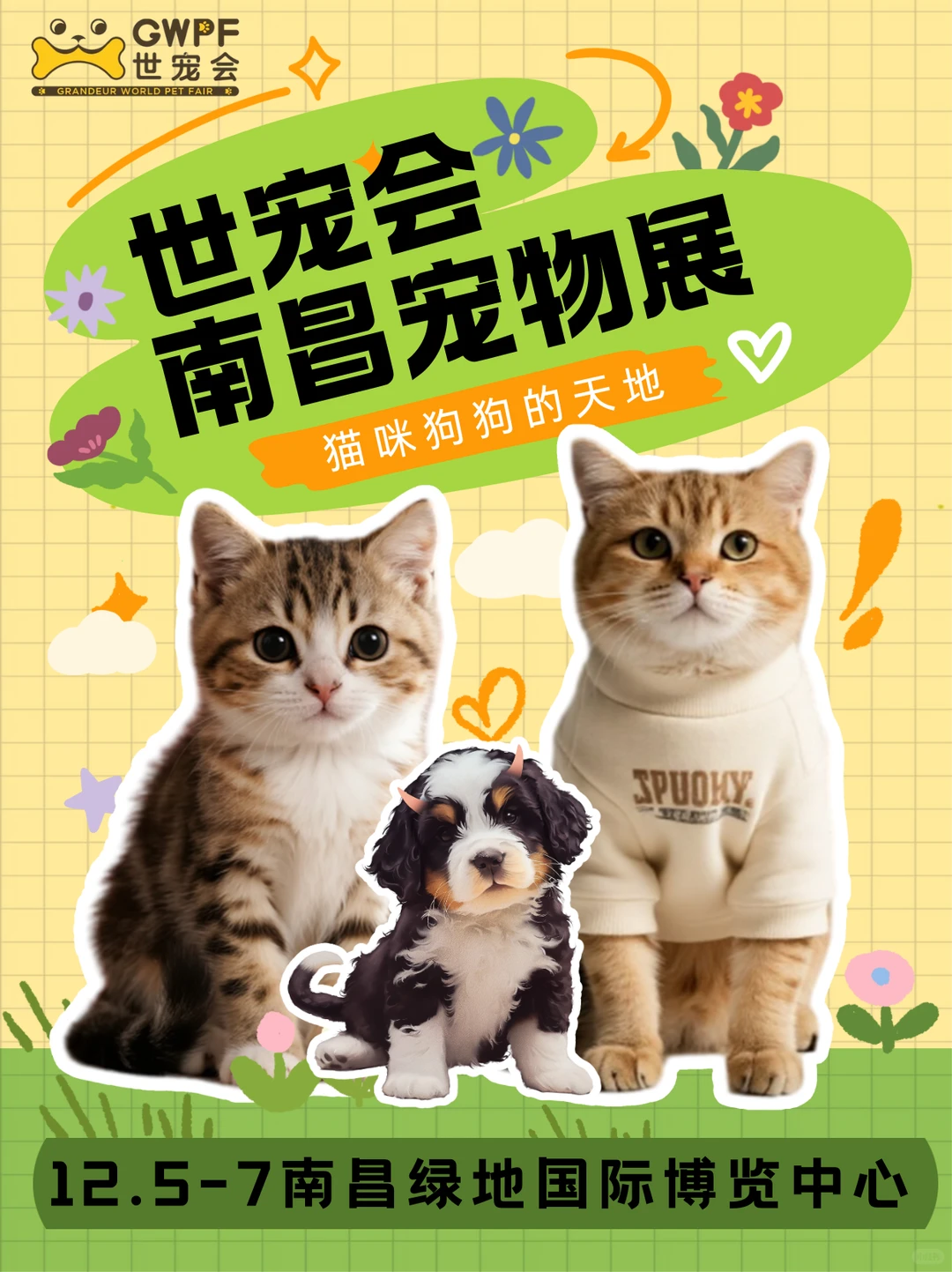 🔥南昌铲屎官速来集合！萌宠天堂暴走攻略