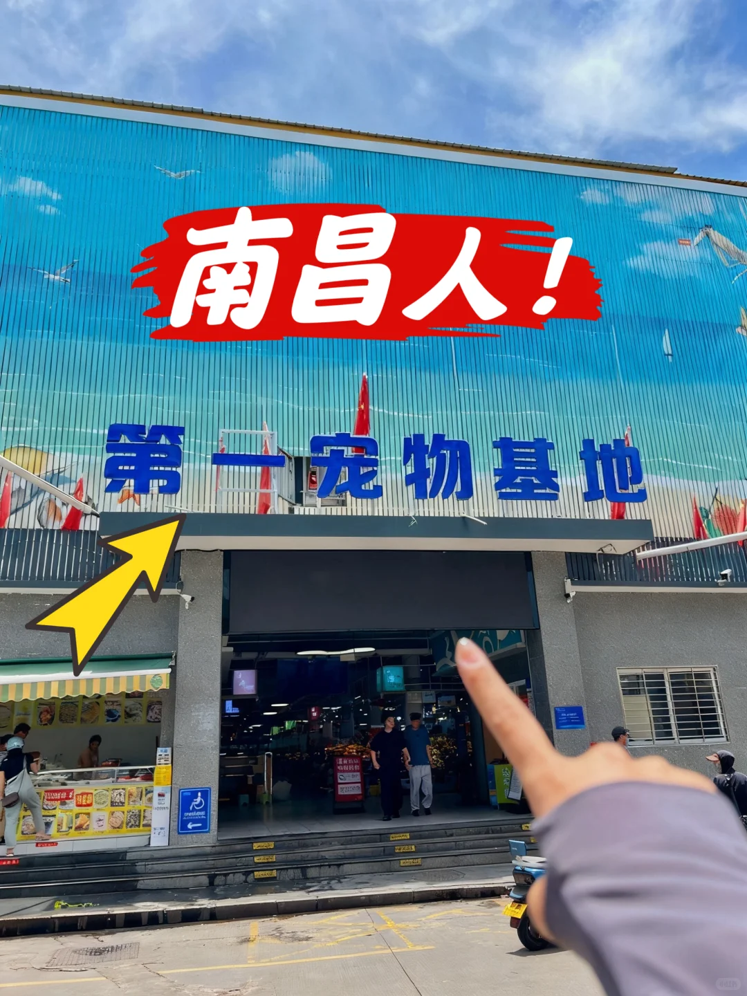 南昌第一宠物基地|南昌买猫买狗|南昌宠物