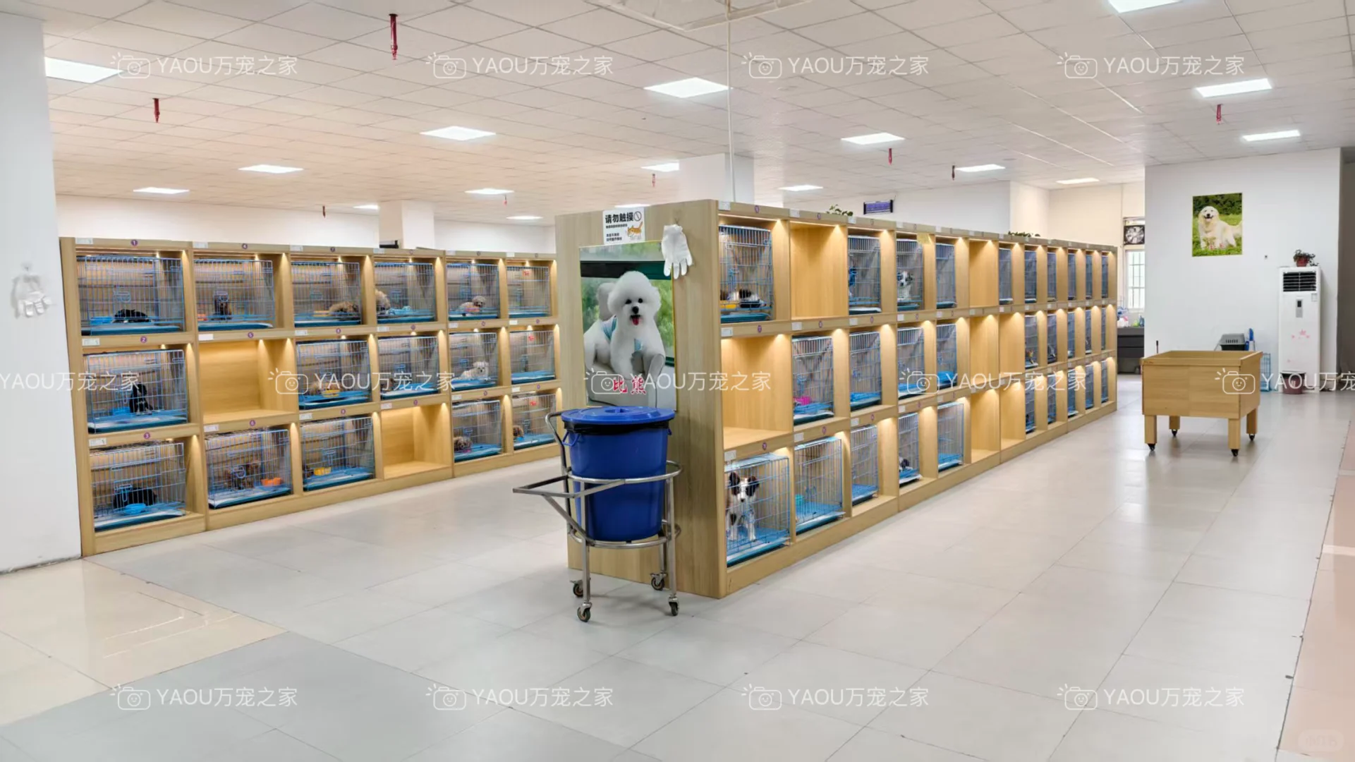 南昌独栋犬舍|南昌买狗好去处|南昌宠物