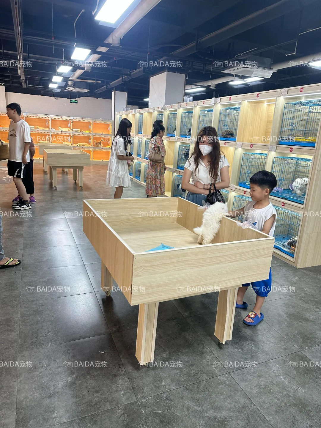 南昌买狗买猫避坑！！【南昌大型宠物基地】