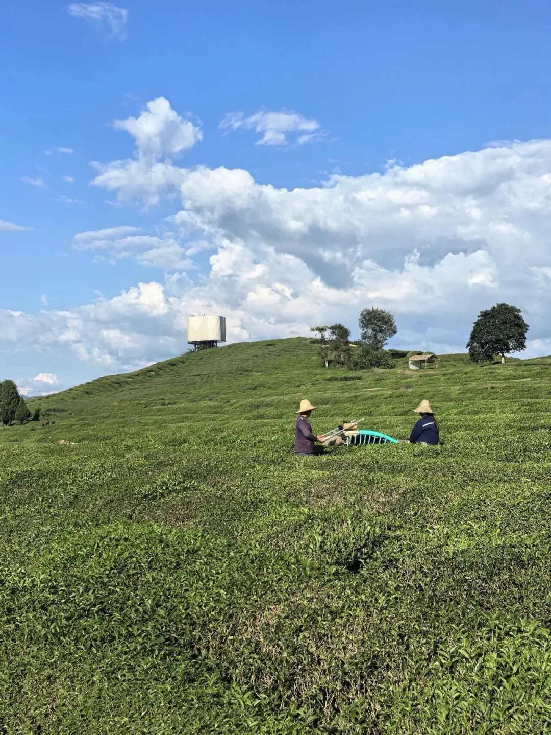 南昌！景德镇！好玩！好吃！