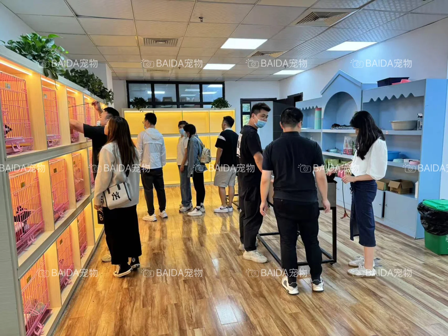 南昌买狗买猫避坑！！【南昌大型宠物基地】