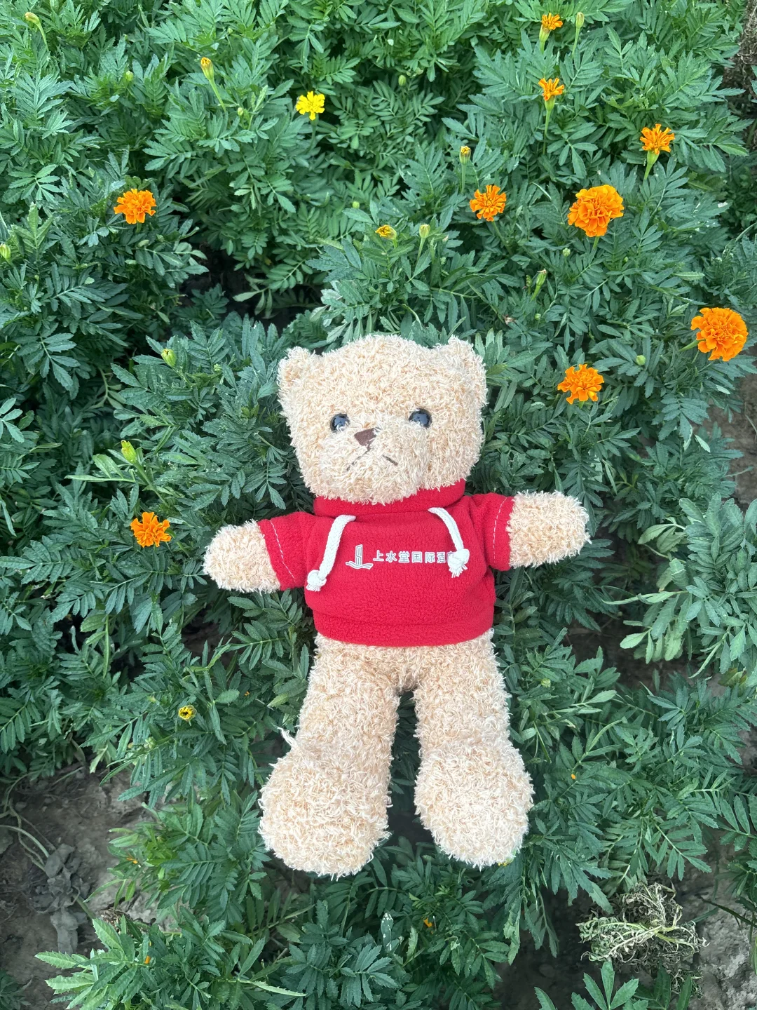 南昌八一广场自取