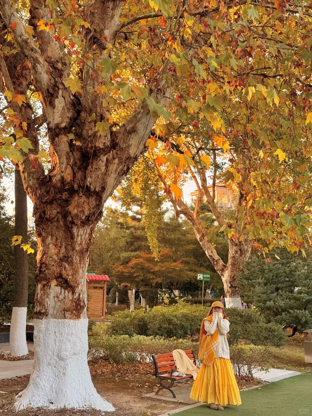 11.21南昌人民公园杀疯了！！live实况