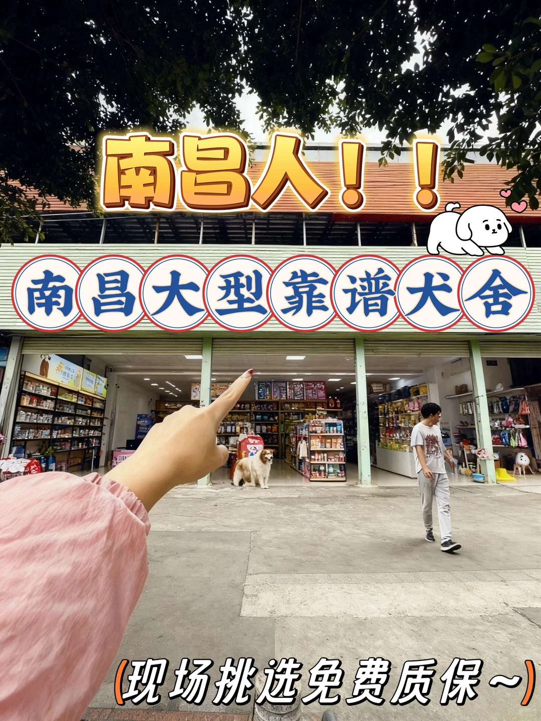 南昌买狗好去处！！南昌宠物基地推荐