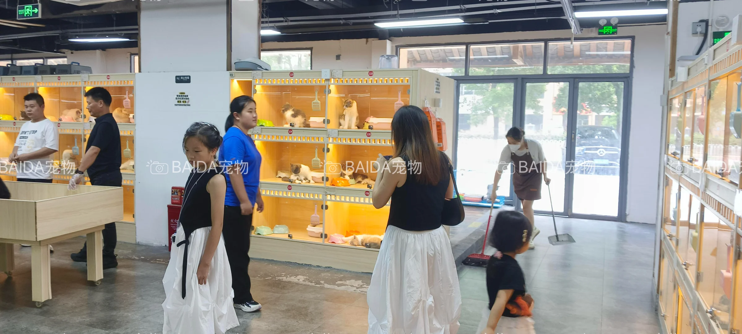 南昌买狗买猫避坑！！【南昌大型宠物基地】