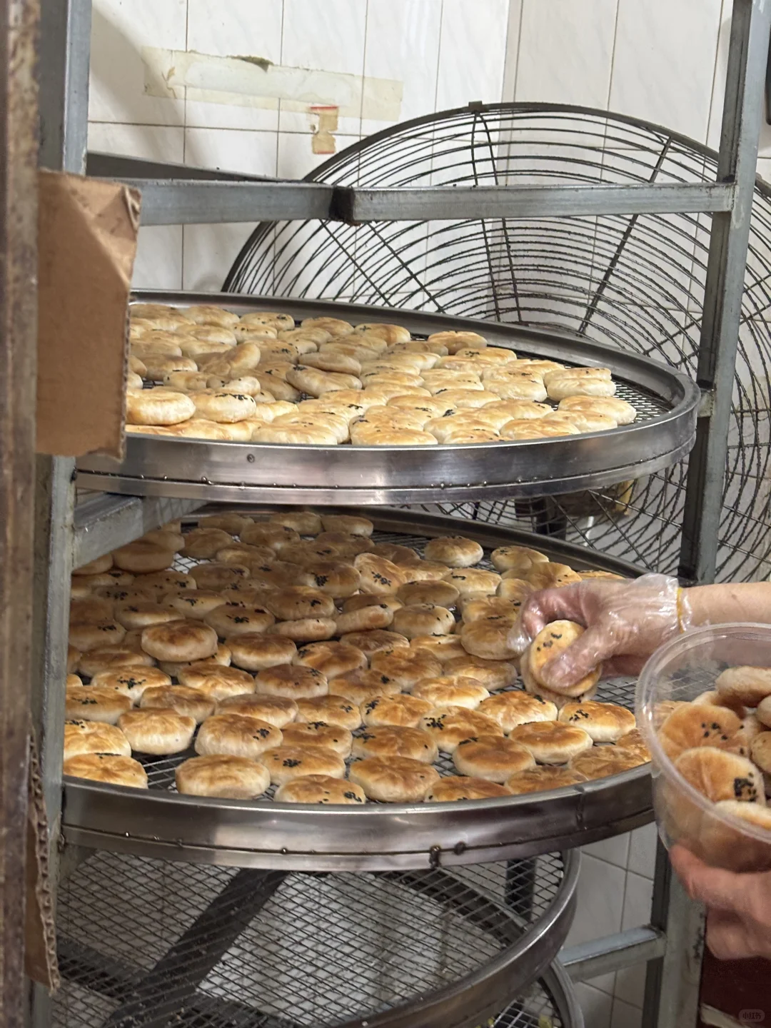 一刷南昌-人生建议别来！！！