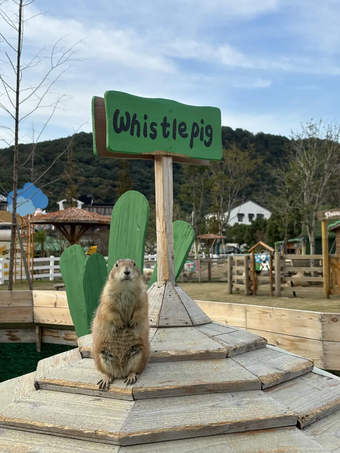 赣州农场体验日结185🌾 有室内活