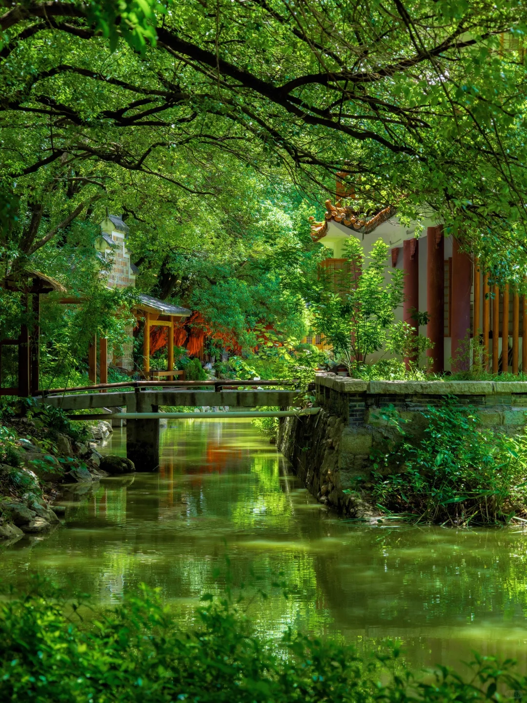 南昌citywalk的照片，发朋友圈被问疯了！！！