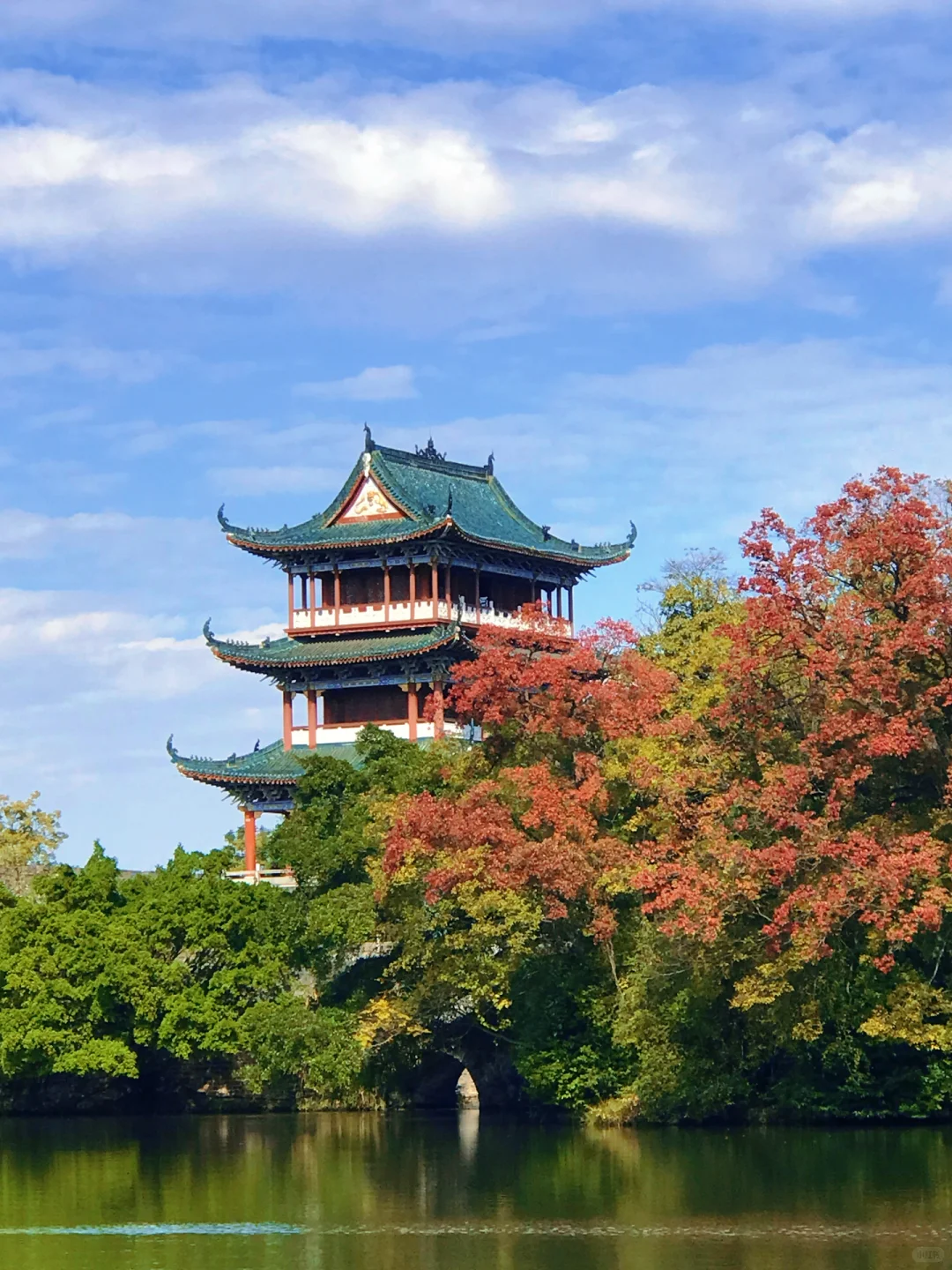 赣州的秋天美到失语｜记录每颗有故事的树🍁