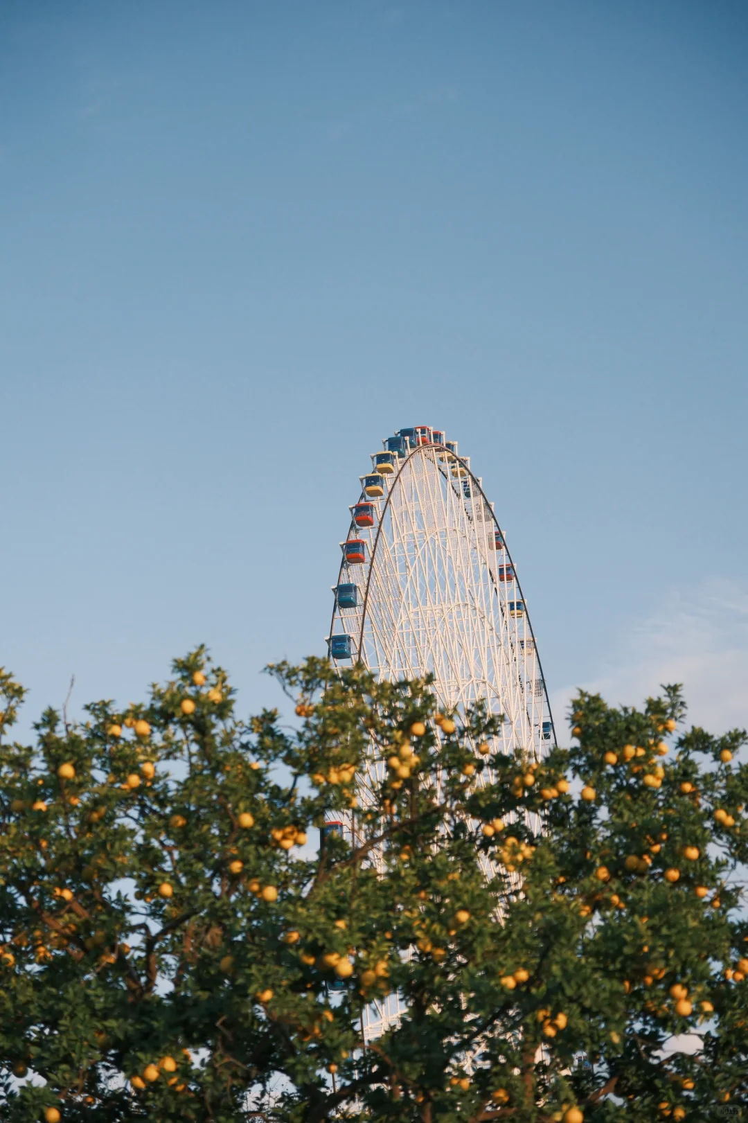 📍𝐍𝐚𝐧 𝐂𝐡𝐚𝐧𝐠 ｜南昌 好玩好拍好吃‼️