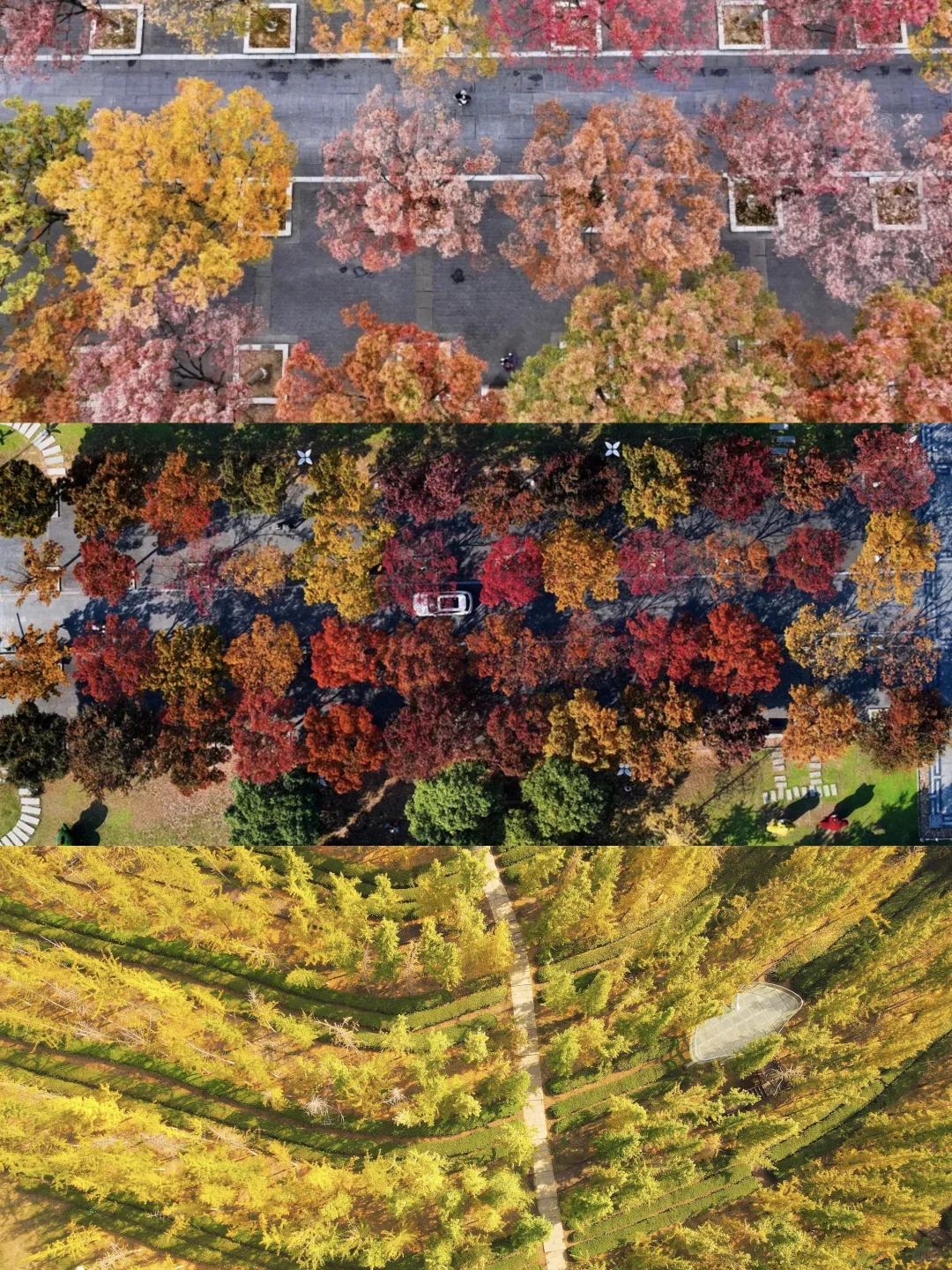 0%→100% 南昌心动进度条加载完毕👇