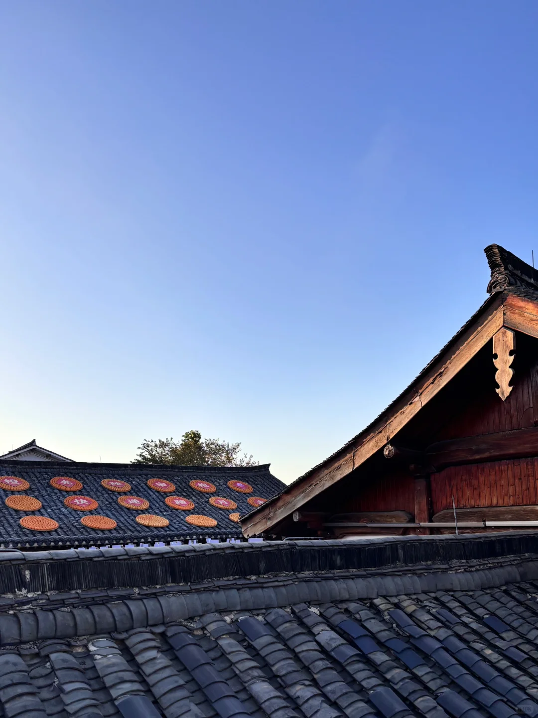 Lis Go赣州“宋潮橙市”心想事“橙”🍊