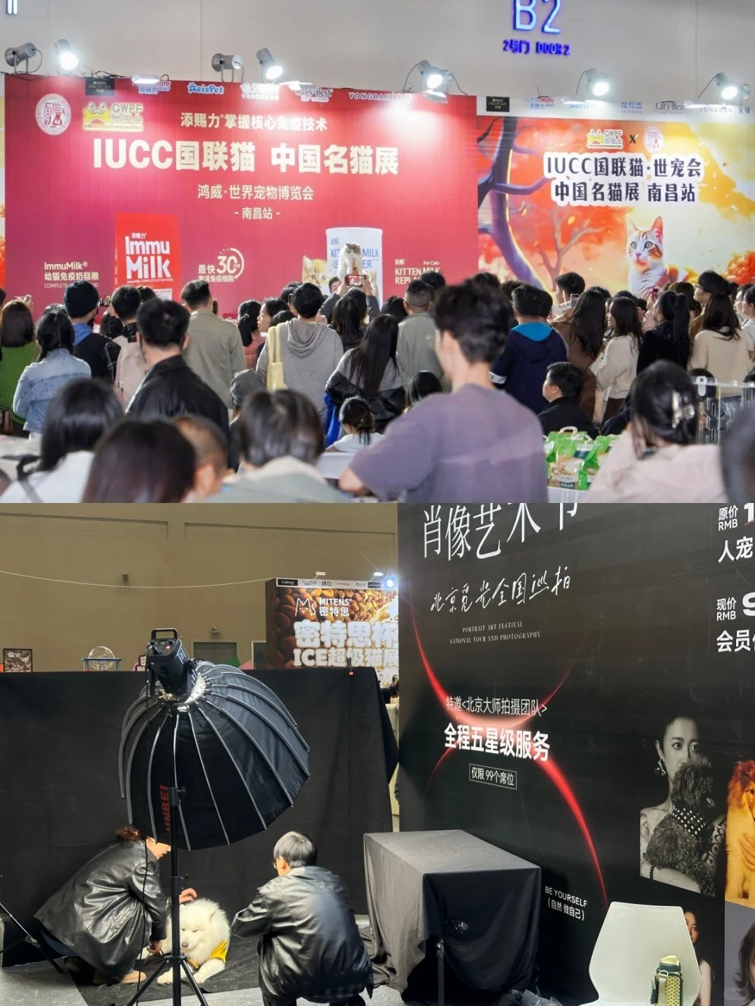 听！是南昌宠物展门票即将失效的声音