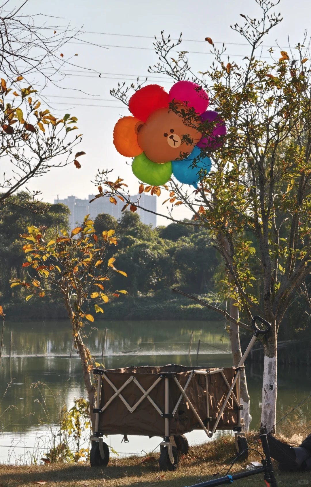 南昌露营 | 寰宇万象湿地公园🏕️