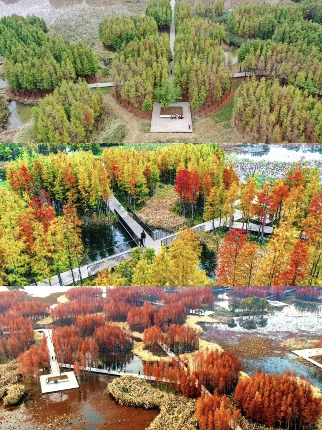 0%→100% 南昌心动进度条加载完毕👇