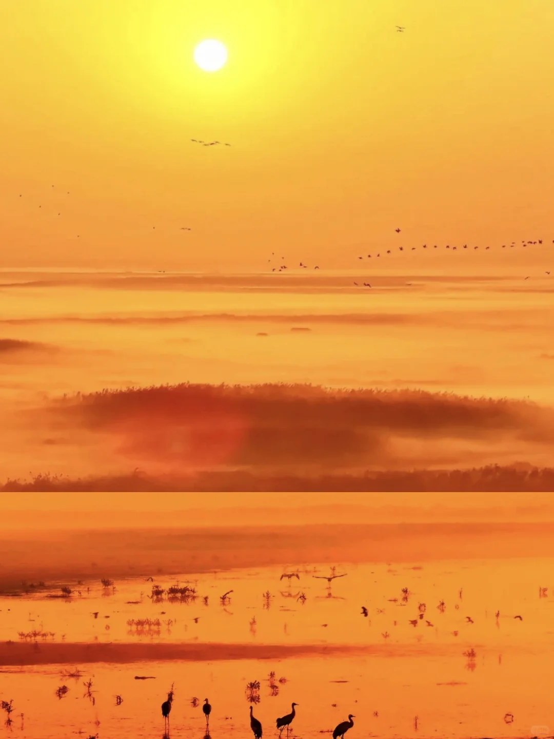 0%→100% 南昌心动进度条加载完毕👇