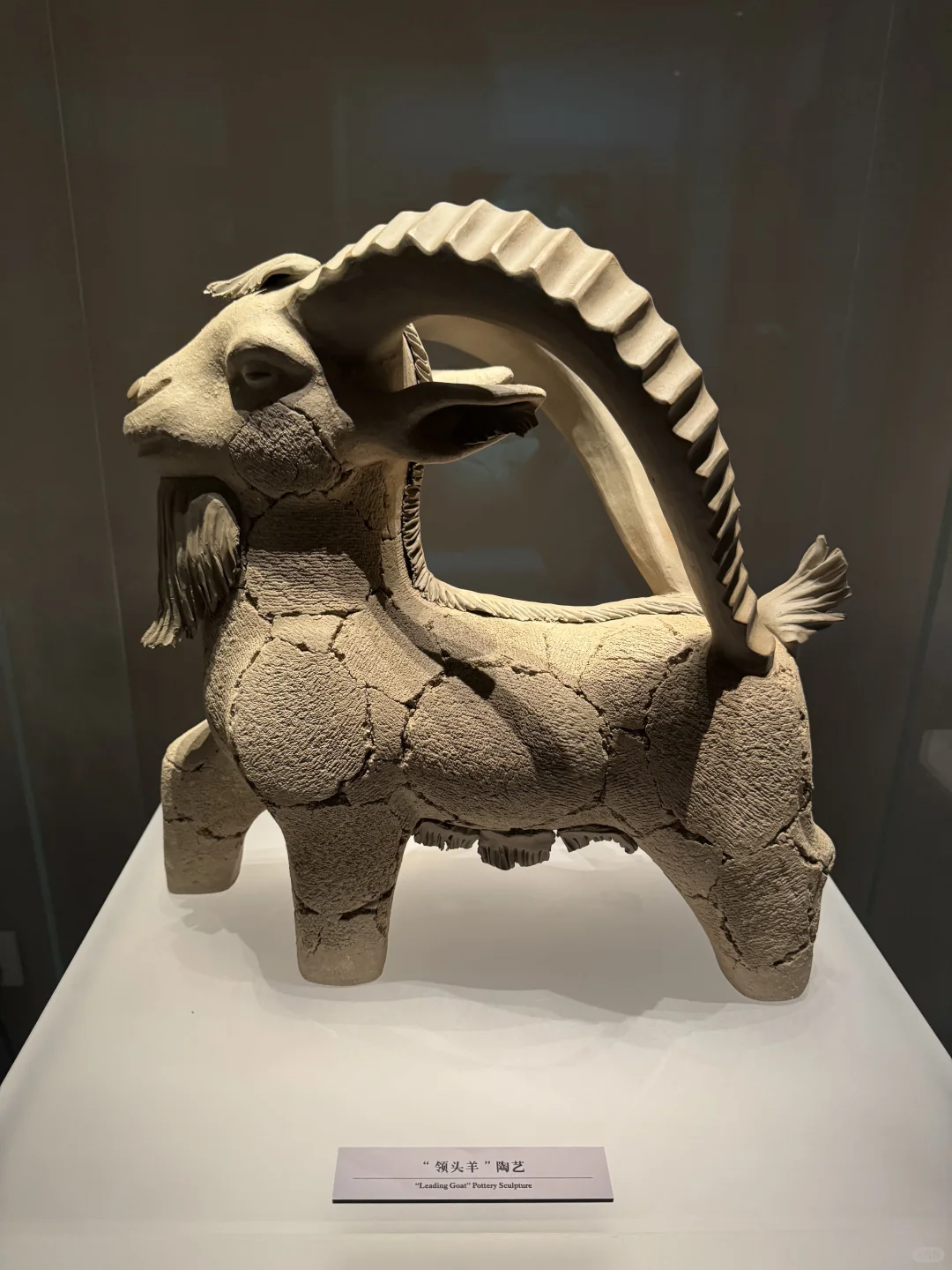 南昌你也太是那个了！！