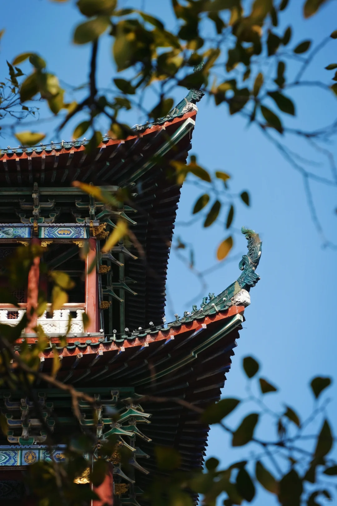 赣州这座小城远比想象的要舒服（周末攻略）