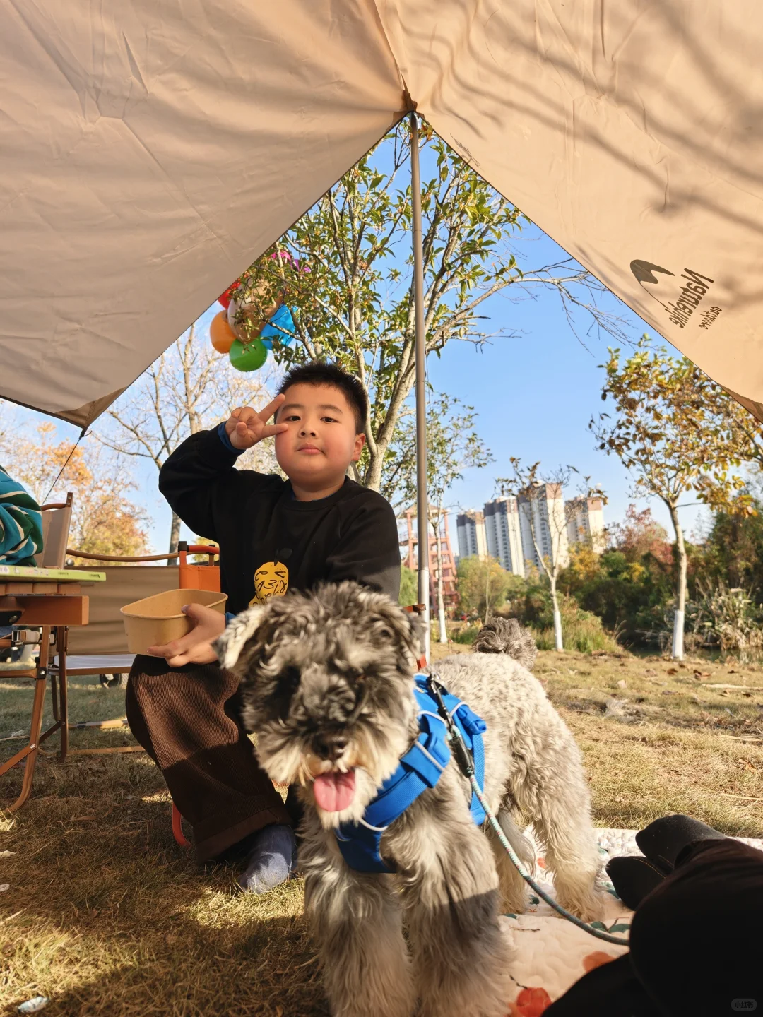 南昌露营 | 寰宇万象湿地公园🏕️