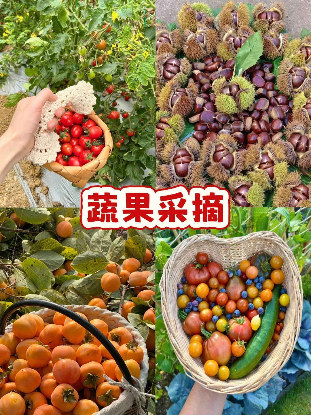南昌农庄团建🌽烧烤任吃+游戏任玩@HR收藏