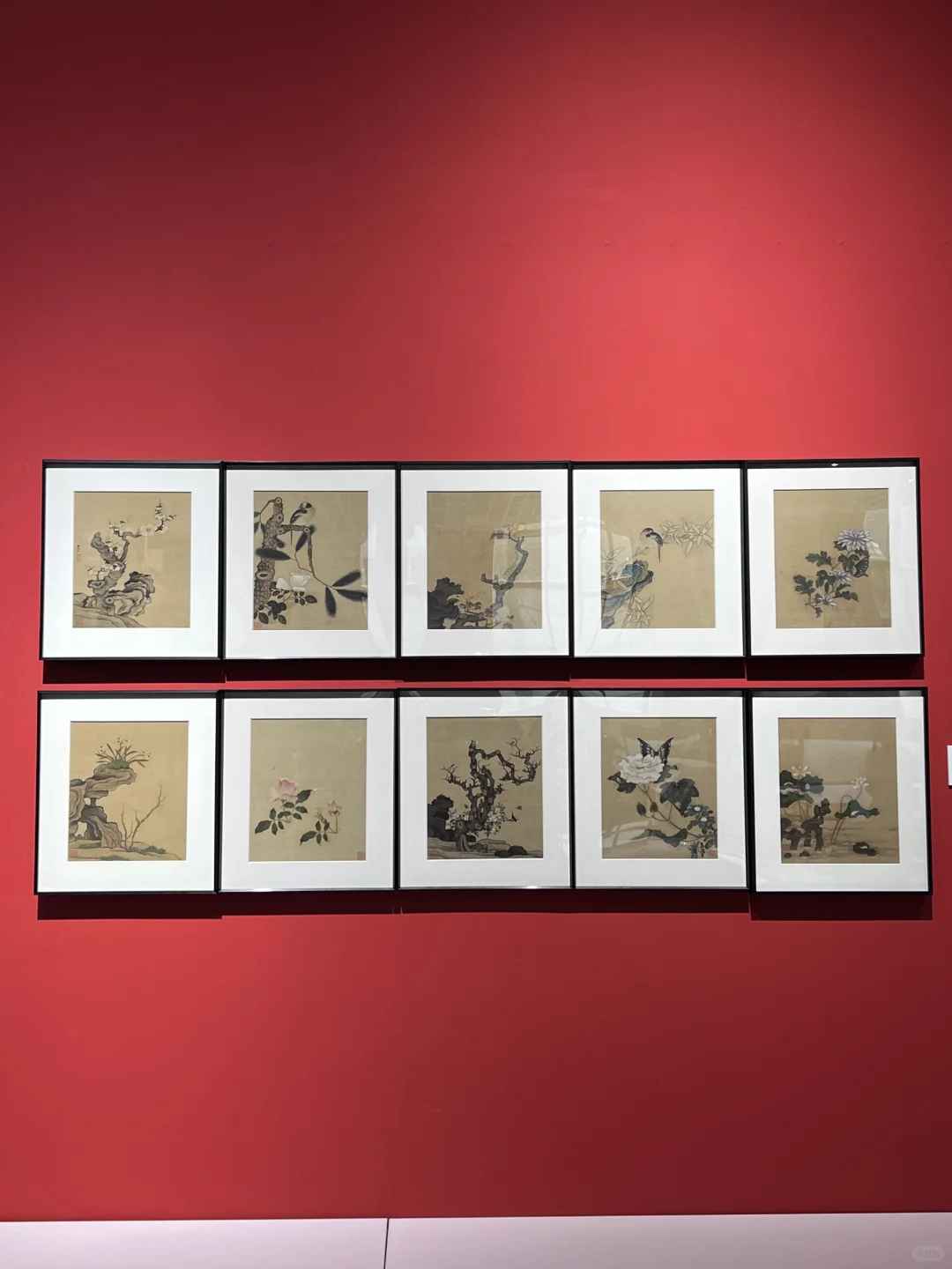 plog-鹭鹭行‧₊˚﹆🎡..°🫧◝