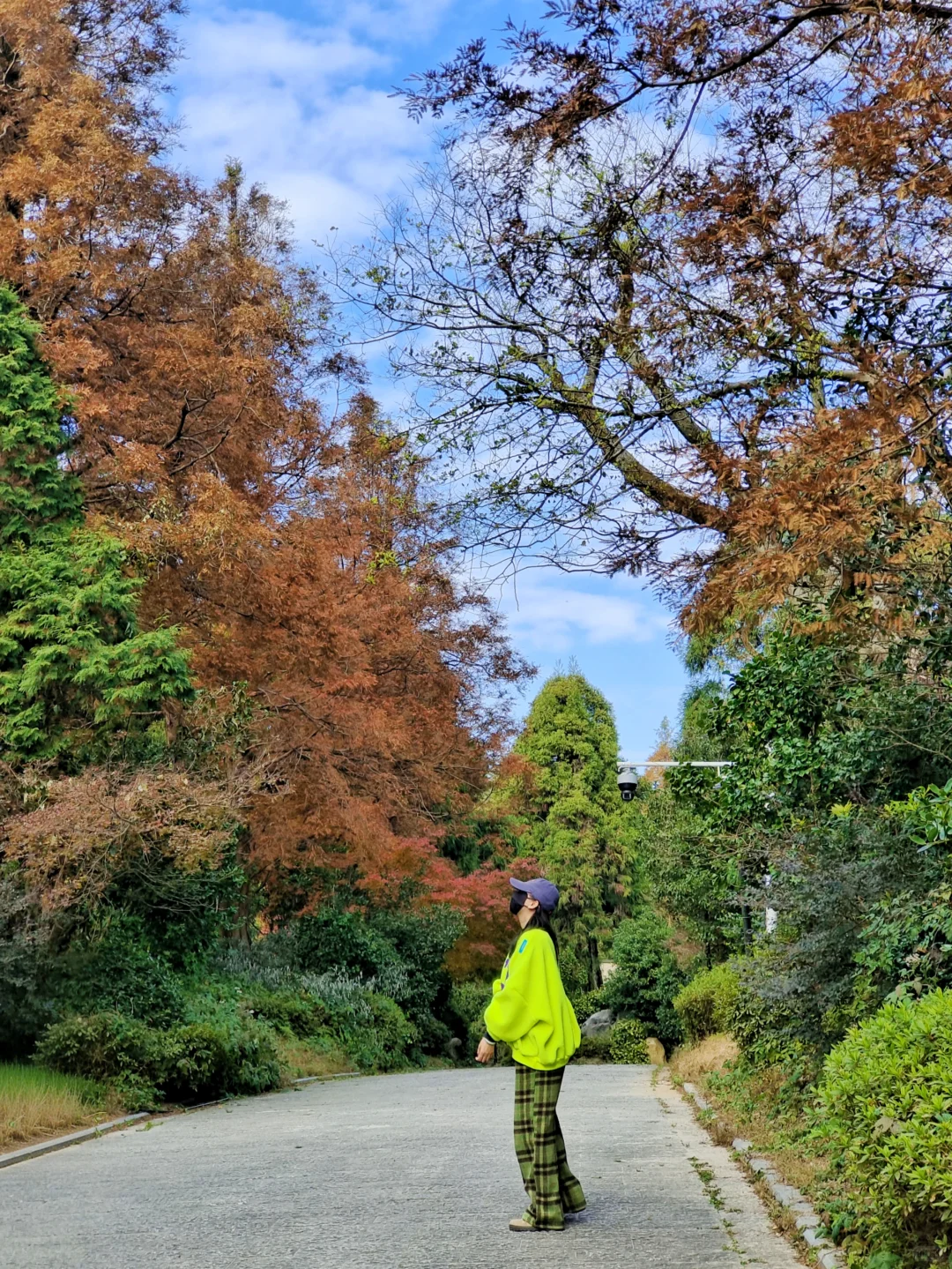 17分钟登上南昌之巅！如何玩转云端制高点？