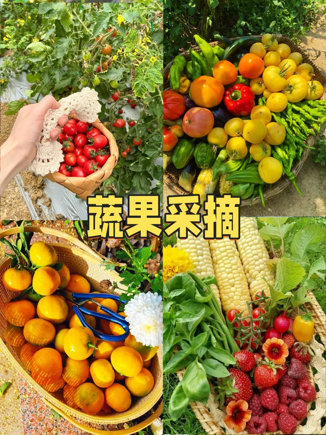 南昌·农庄一日不过夜团建+烧烤任吃+游戏任