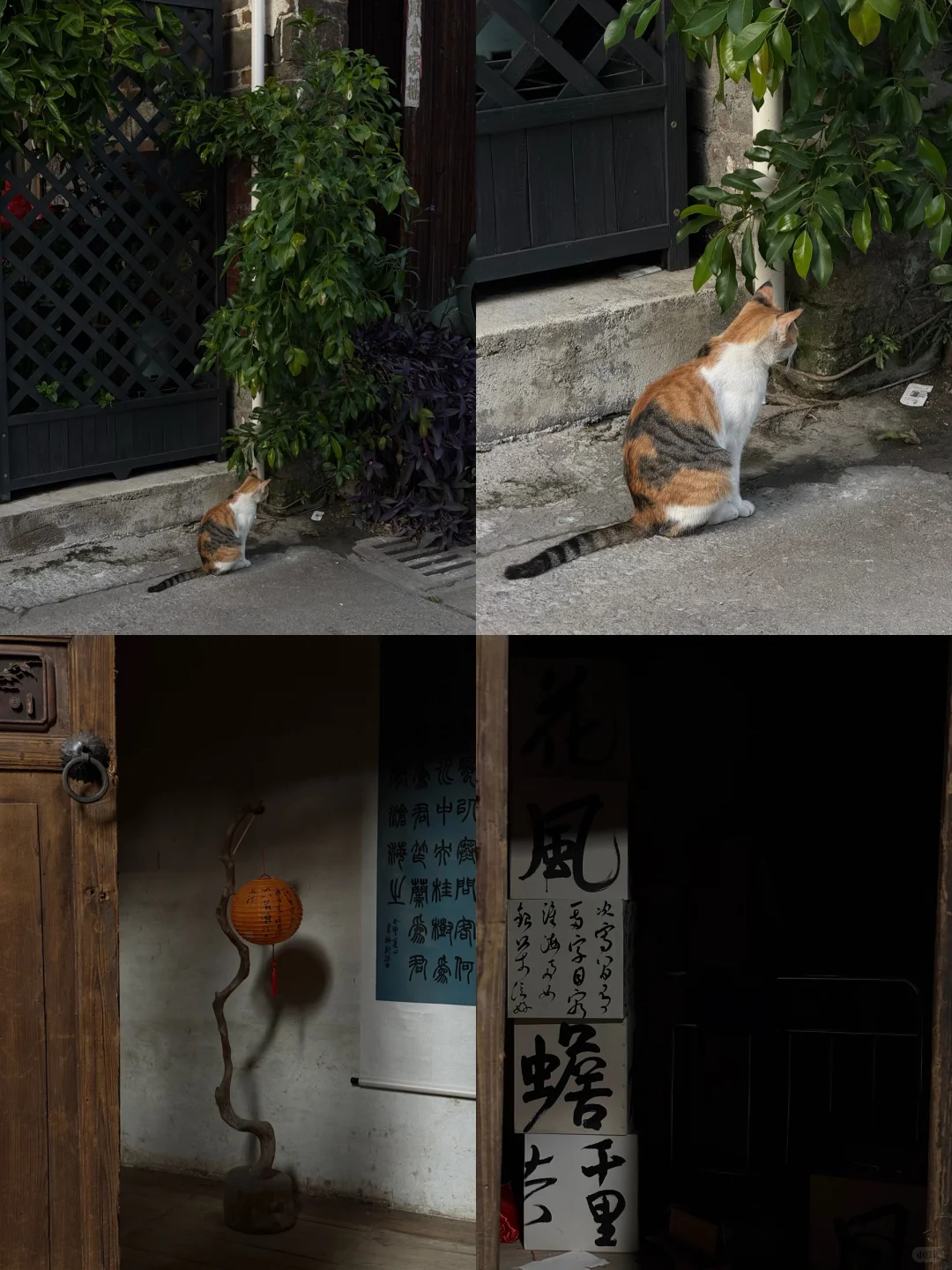 赣州市老城区City Walk（附路线