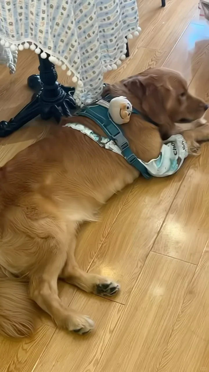 抚州｜极限10h逛吃10家店（一人版）