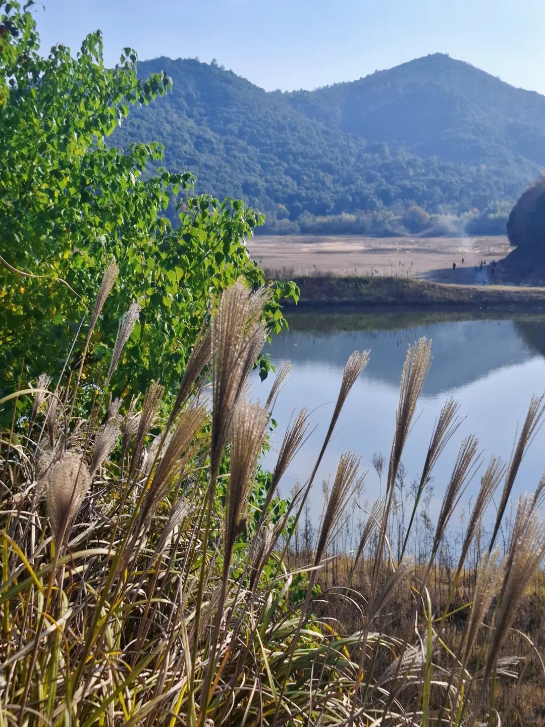 又在抚州发现了一个绝佳露营地！就在……