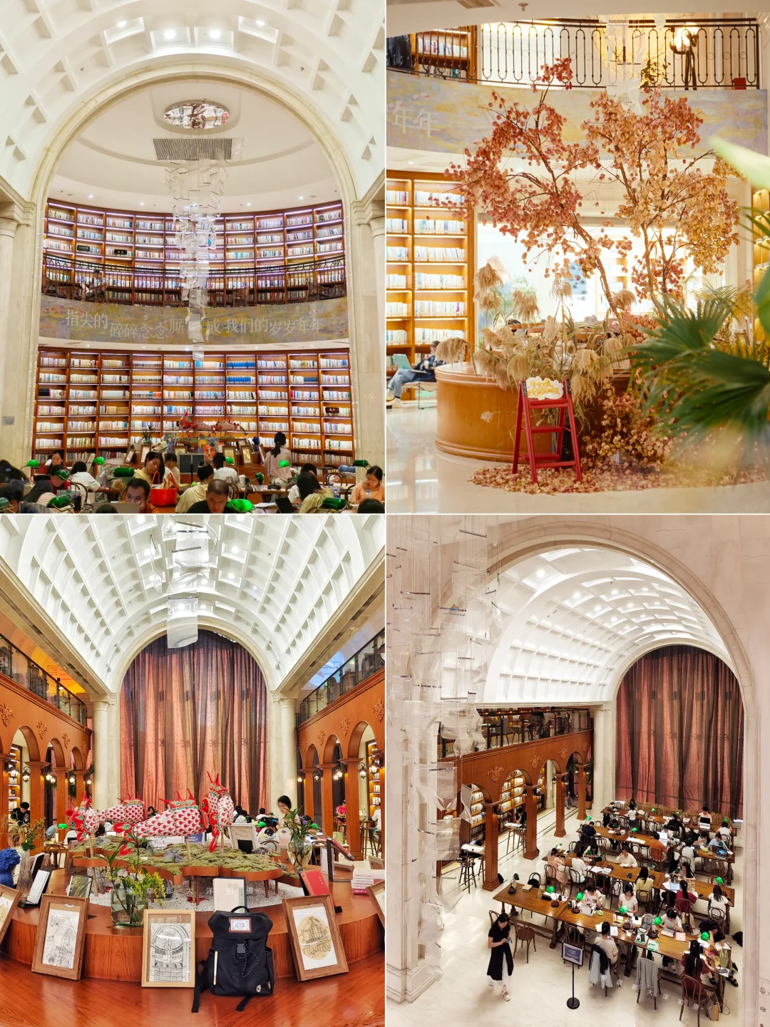 南昌赏秋一条路线全搞定！银杏➕水杉➕粉黛