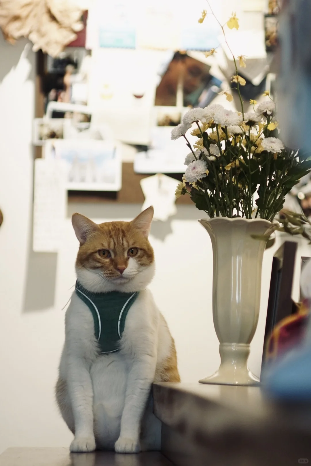 赣州高薪招聘咖啡师！！！