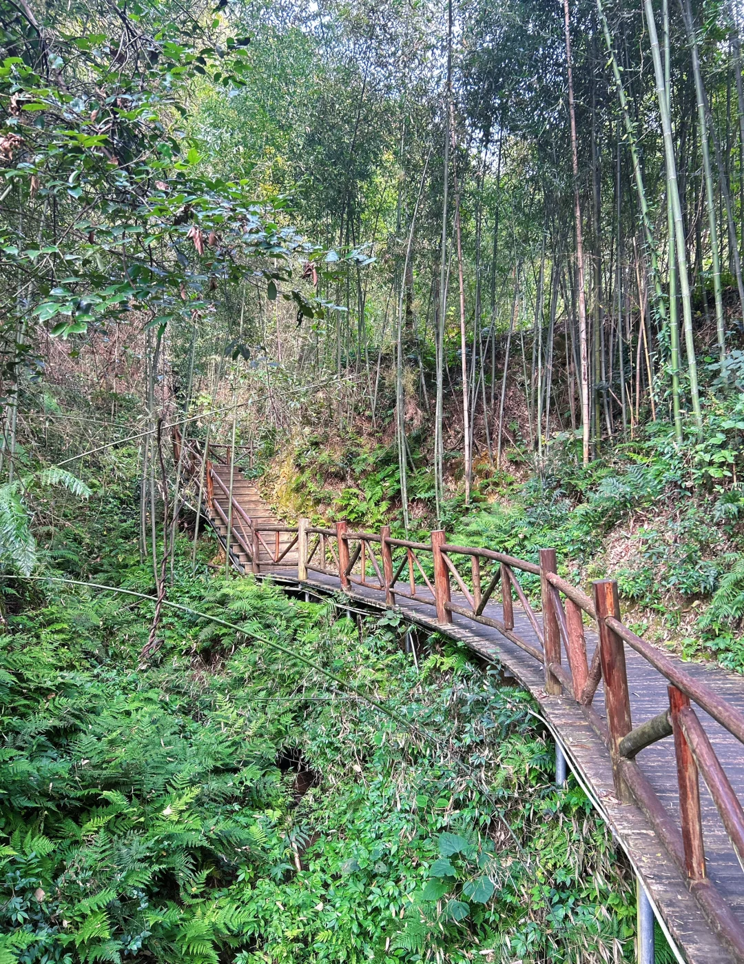 在赣州发现一个宝藏地方