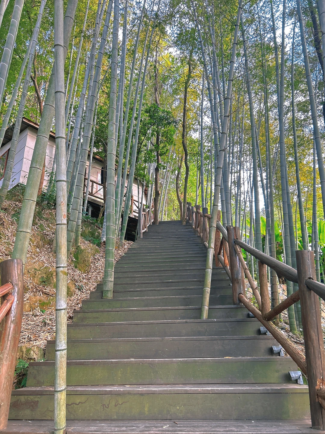 在赣州发现一个宝藏地方