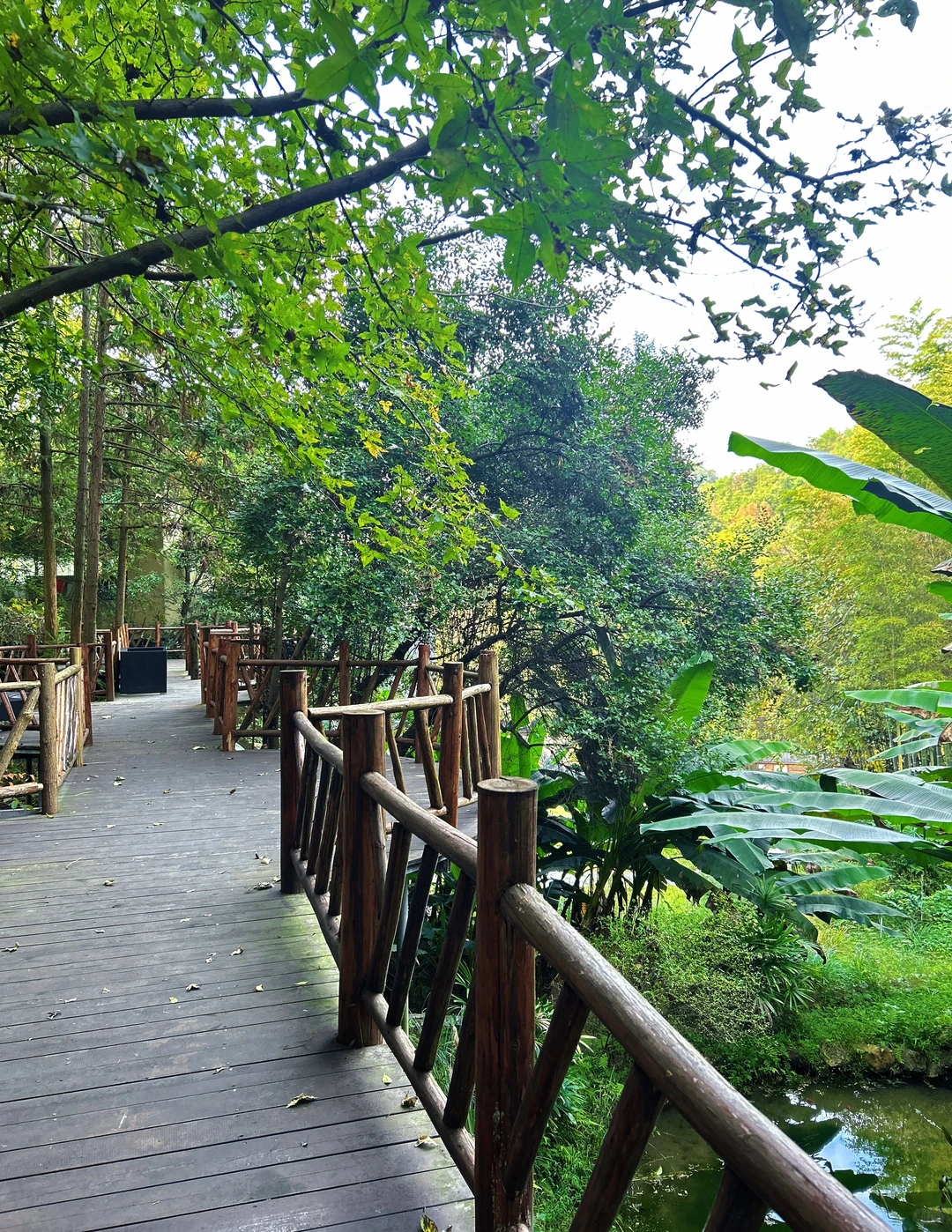 在赣州发现一个宝藏地方