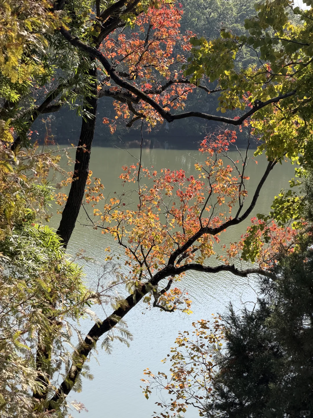 📍赣州｜江南宋城⛩️