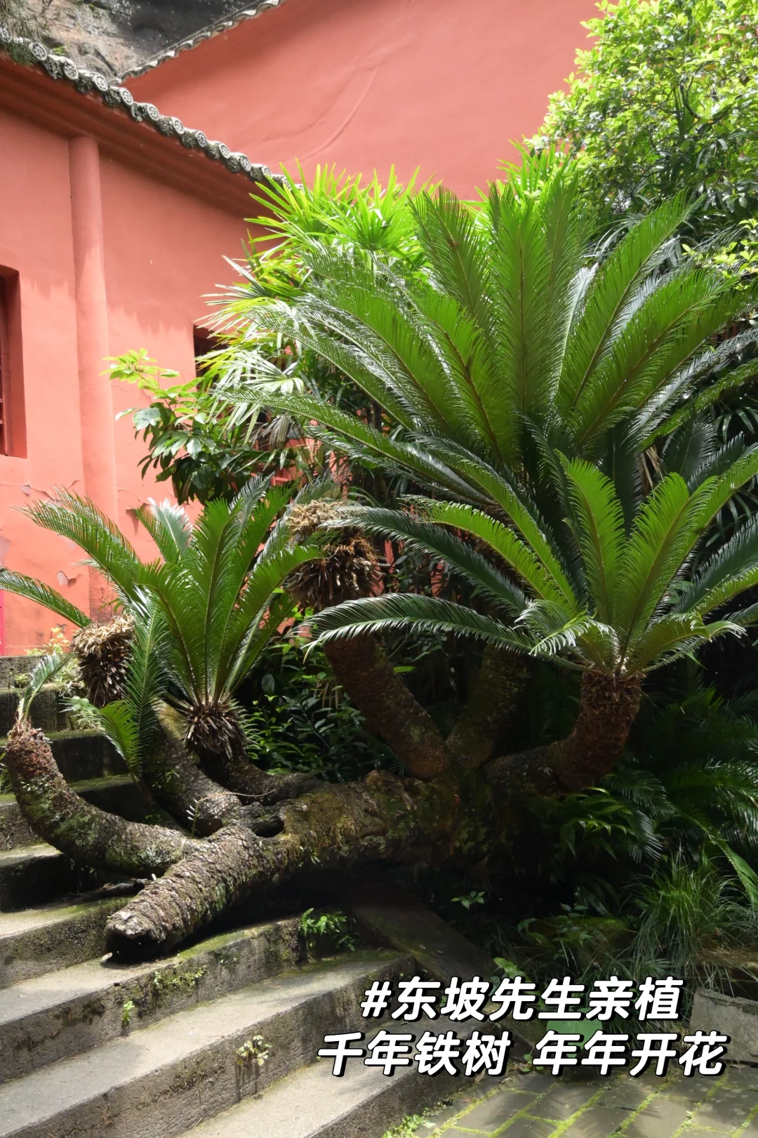 赣州 | 是去过最舒服的小城，2天闲逛攻略