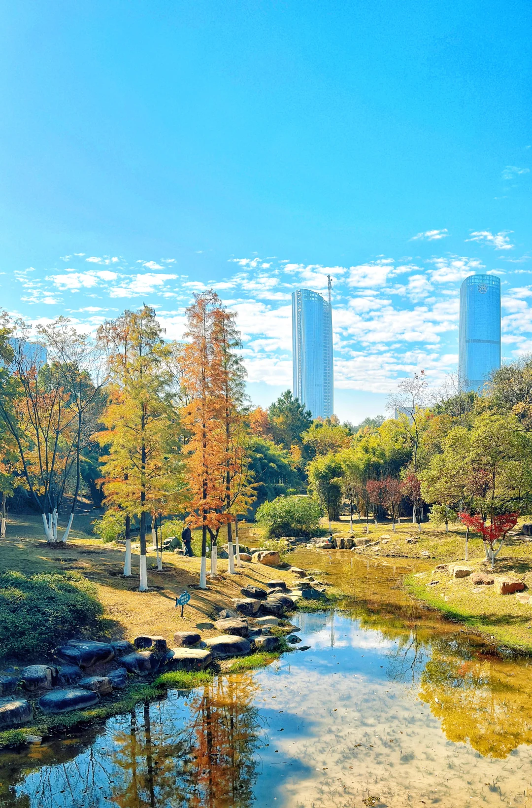 赣州这里的深秋赢麻了啊