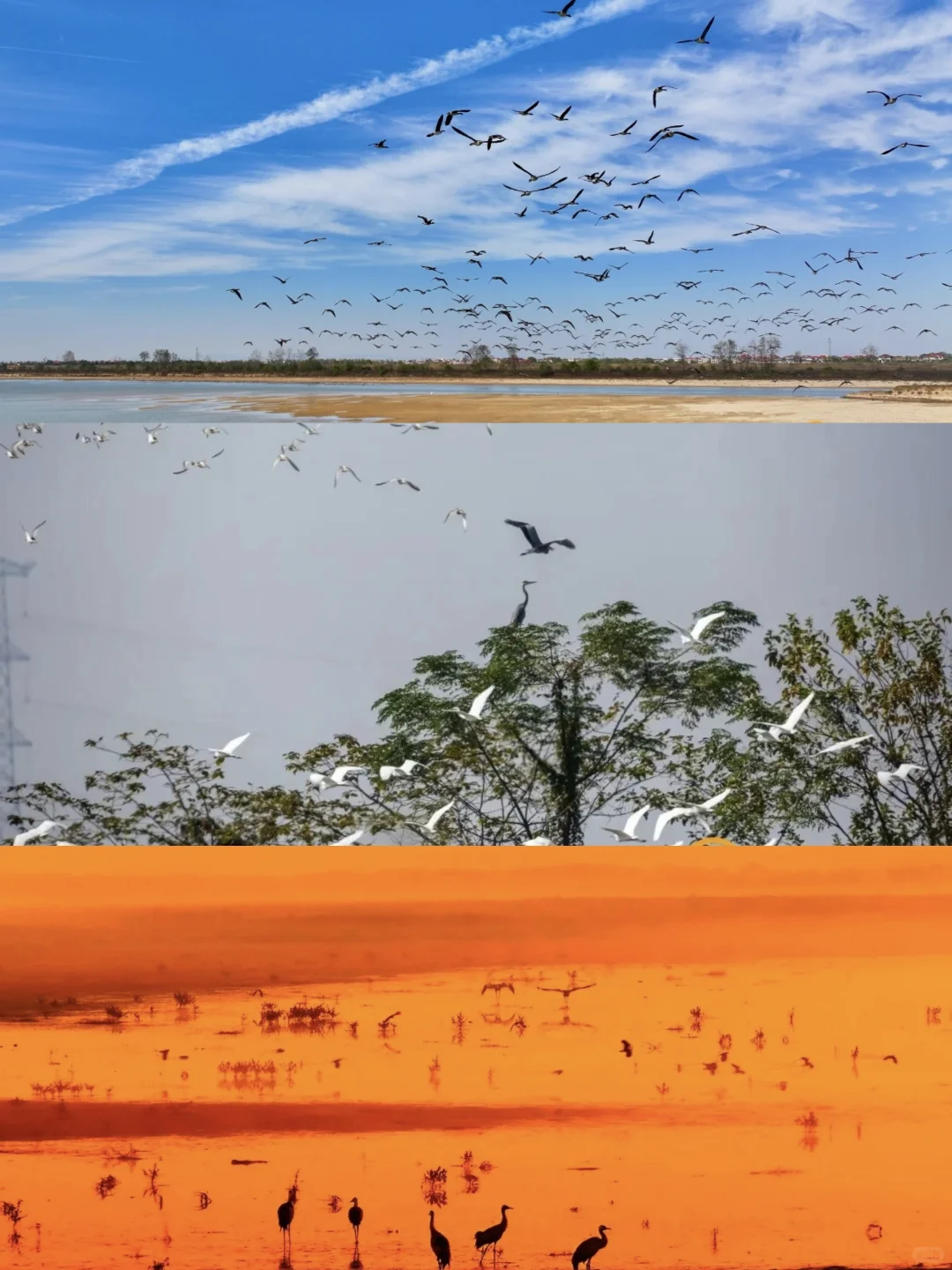 0%→100% 南昌心动进度条加载完毕👇