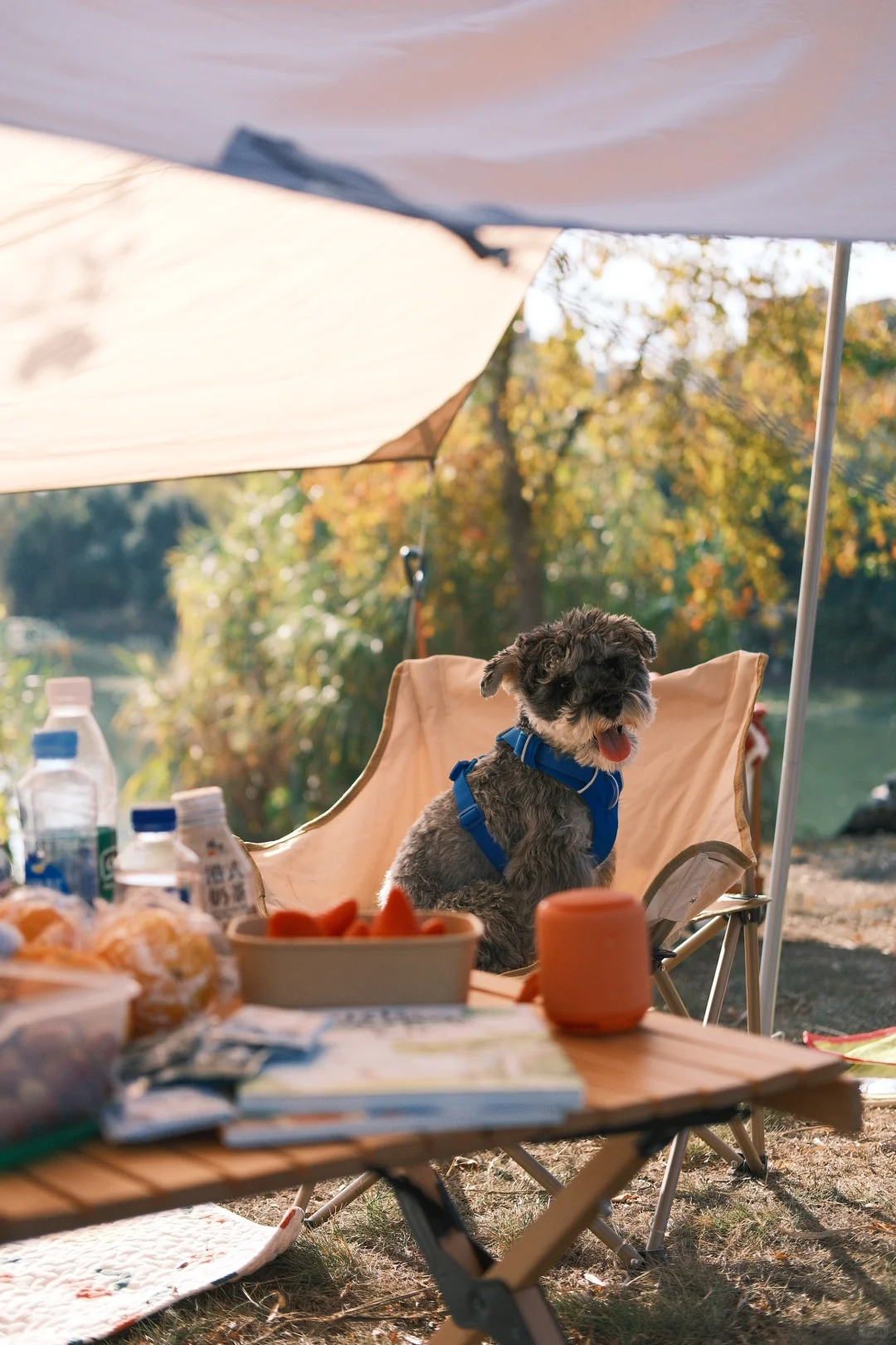 南昌露营 | 寰宇万象湿地公园🏕️