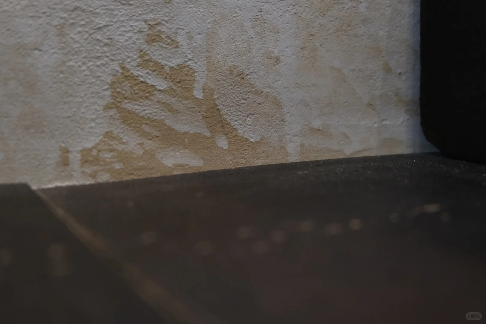 南昌｜新月依然有阳光 包出片的～