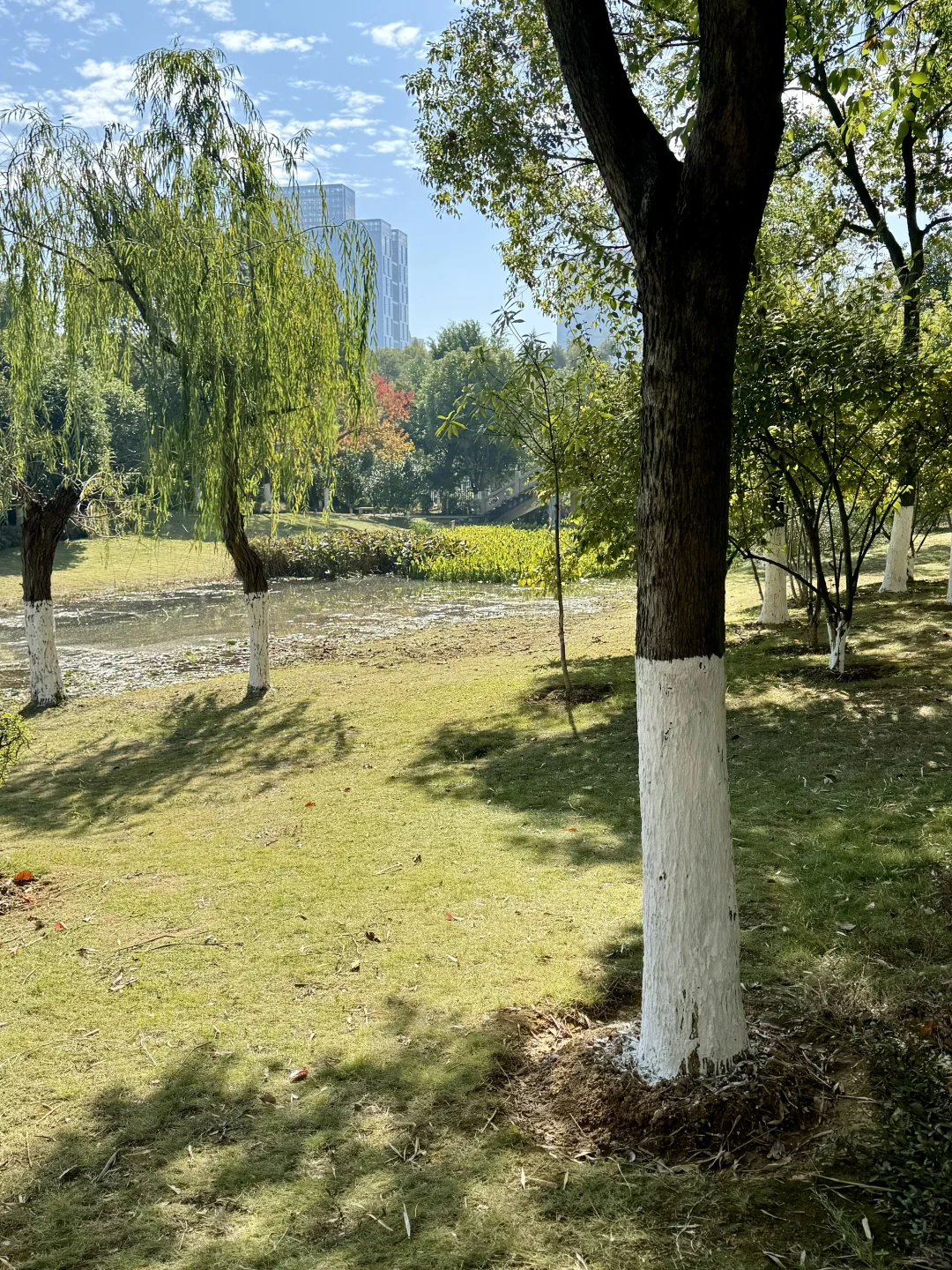 赣州野餐好去处｜精简户外装备清单🏕️