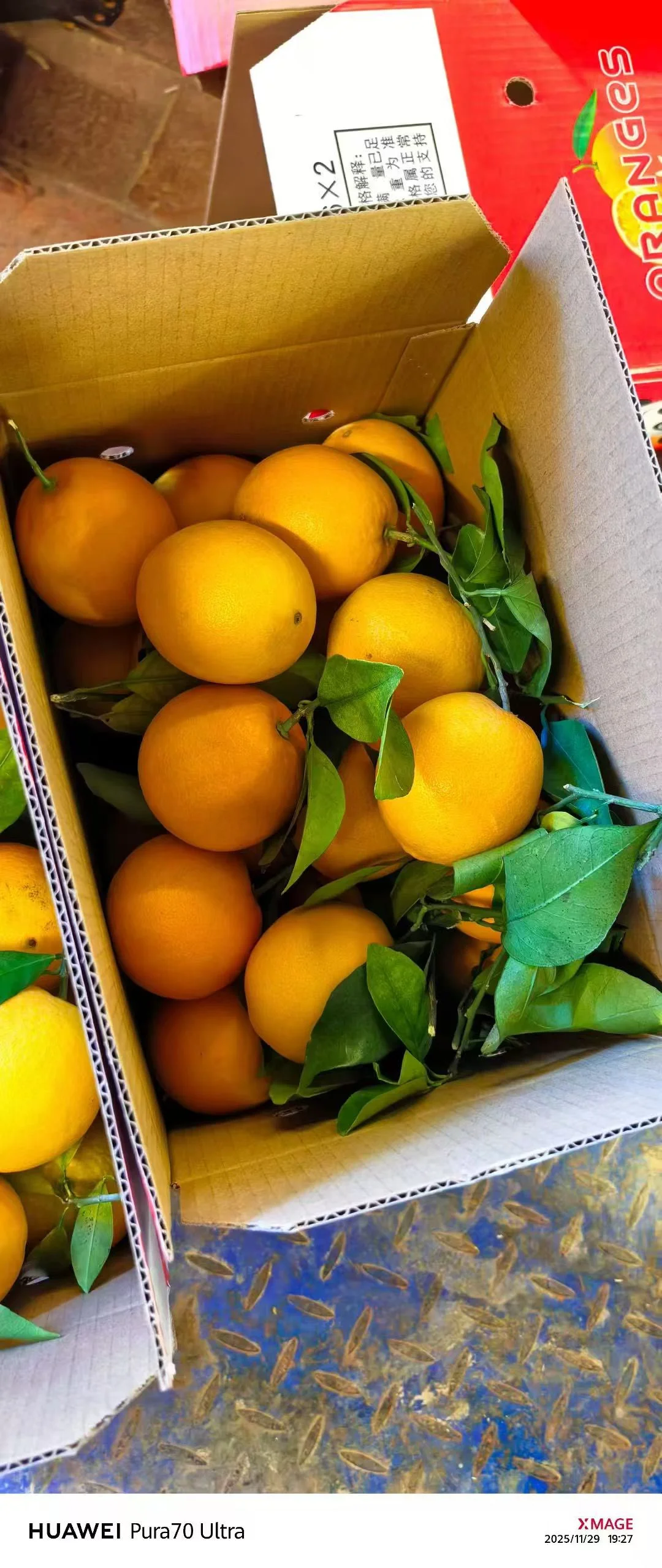 赣州脐橙，一口爆汁的甜蜜炸弹来袭！