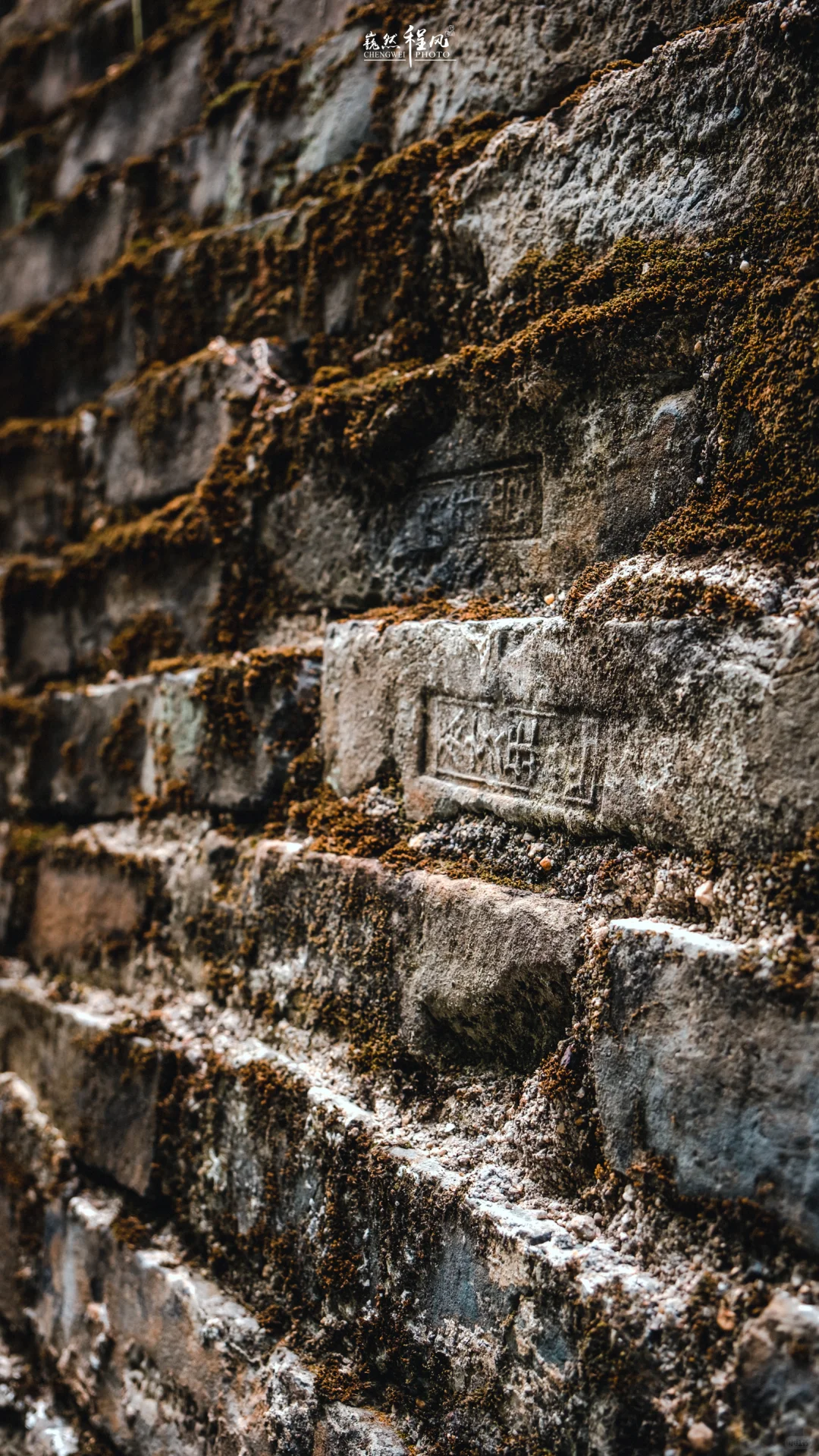 反向打卡！安利家乡赣州，一座千年宋城！