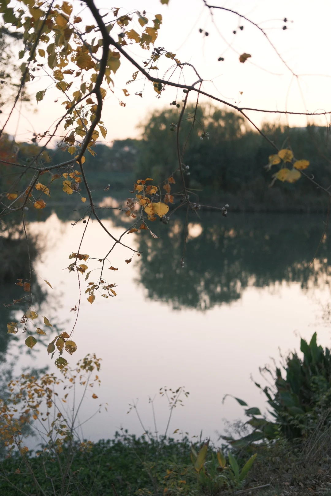 南昌露营 | 寰宇万象湿地公园🏕️