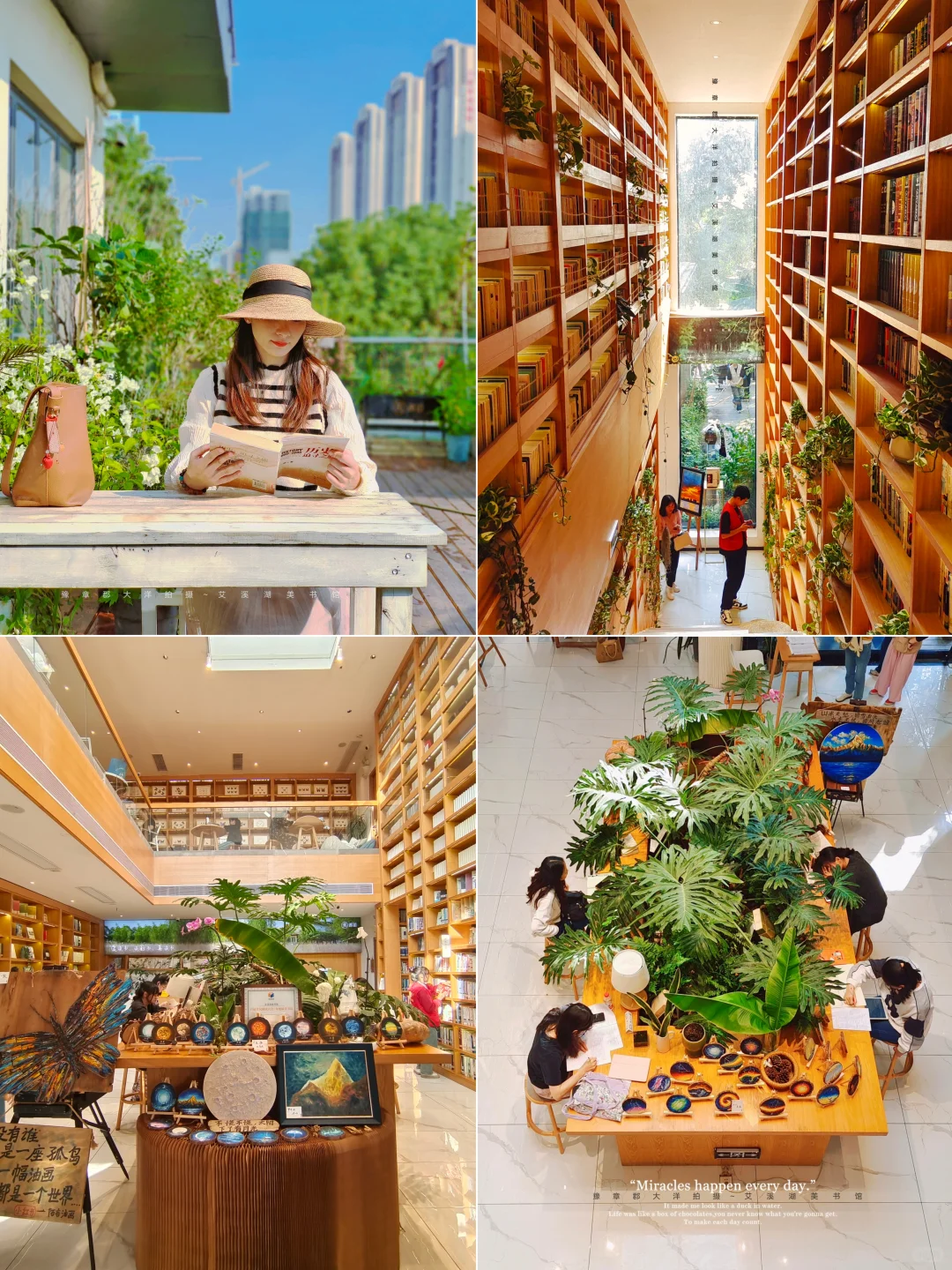 南昌赏秋一条路线全搞定！银杏➕水杉➕粉黛