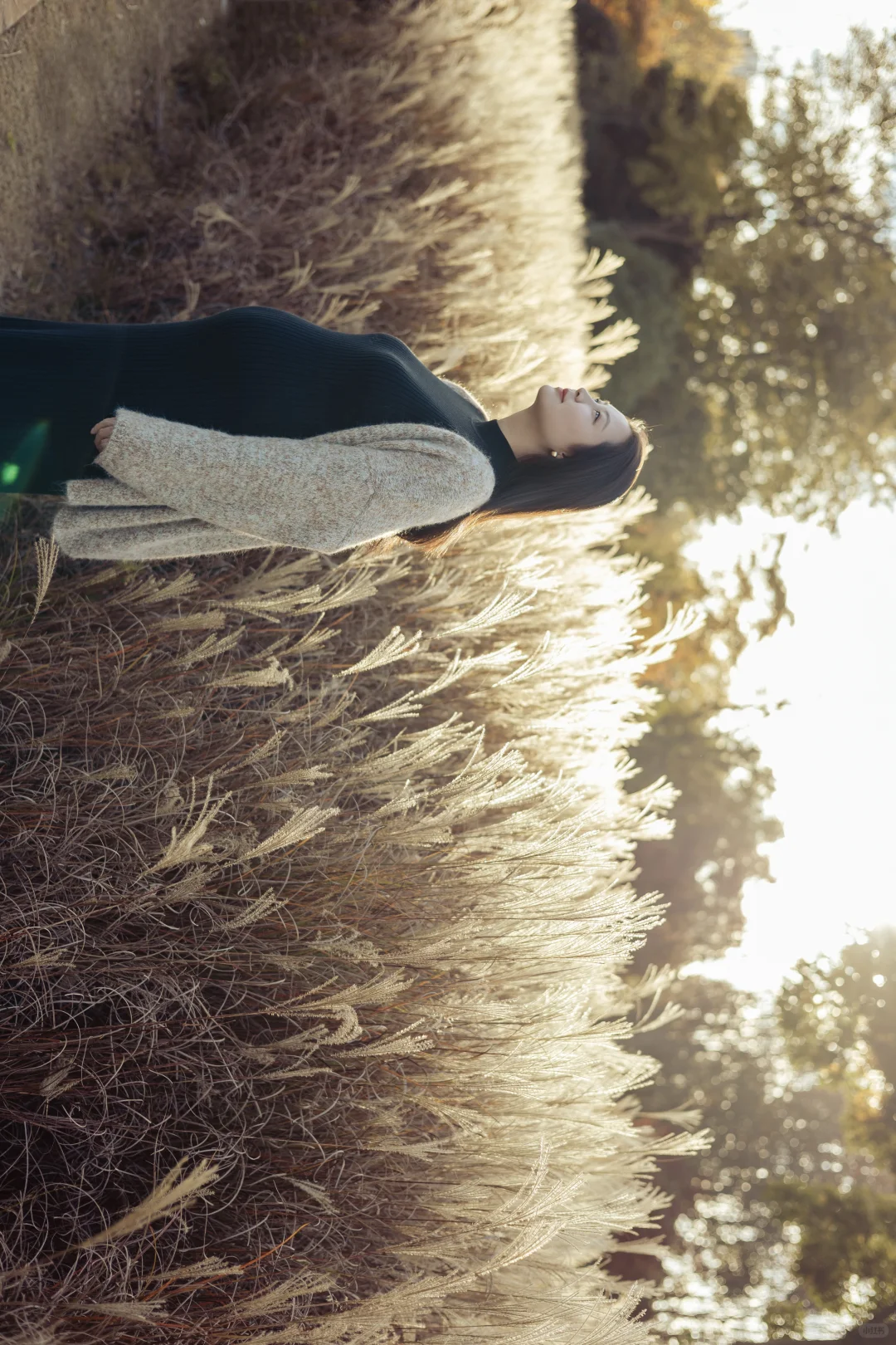 赣州纪实｜秋天的氛围感 的孕期纪实