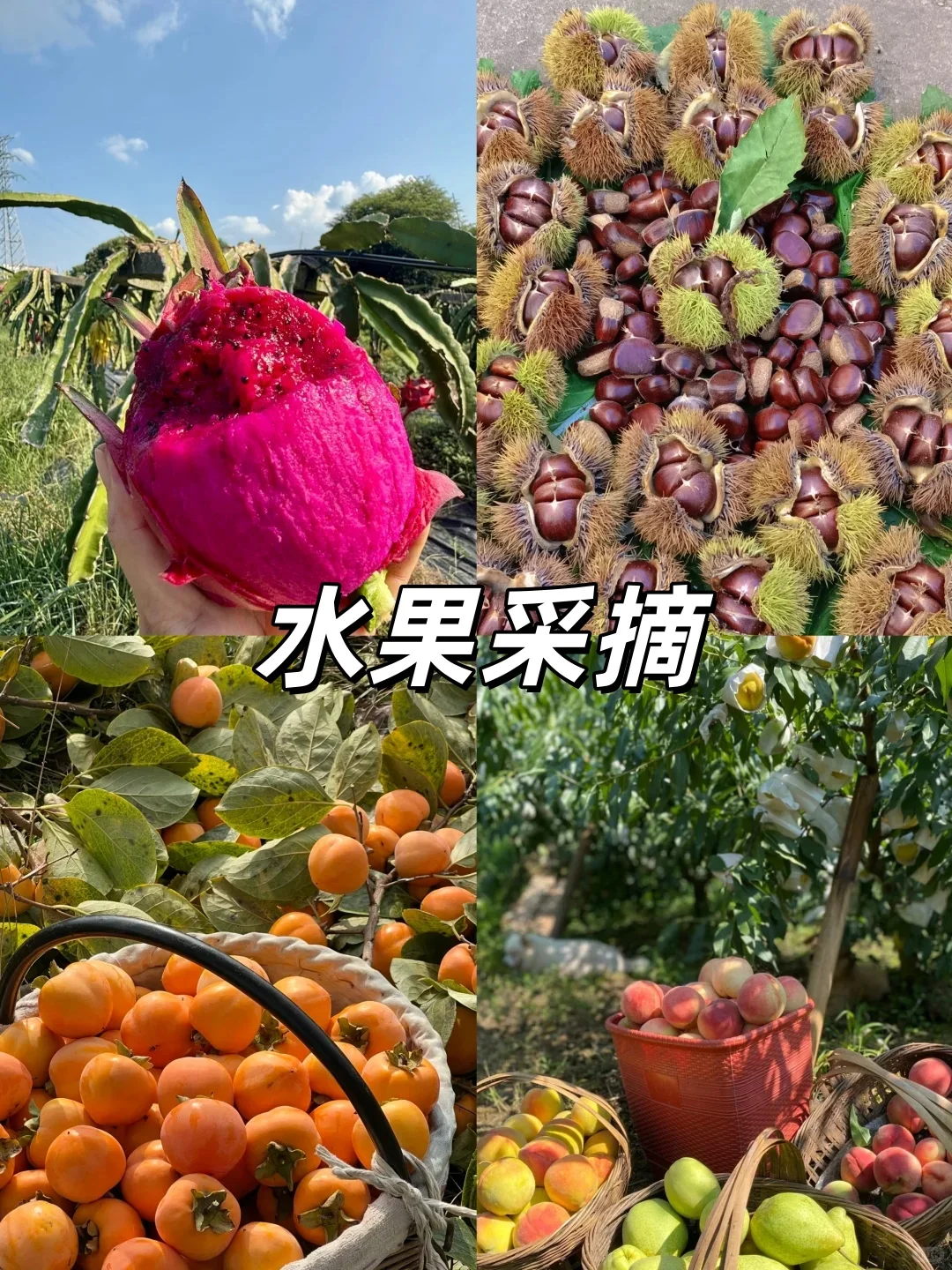 南昌一日团建🌽烧烤任吃+游戏任玩@HR收藏