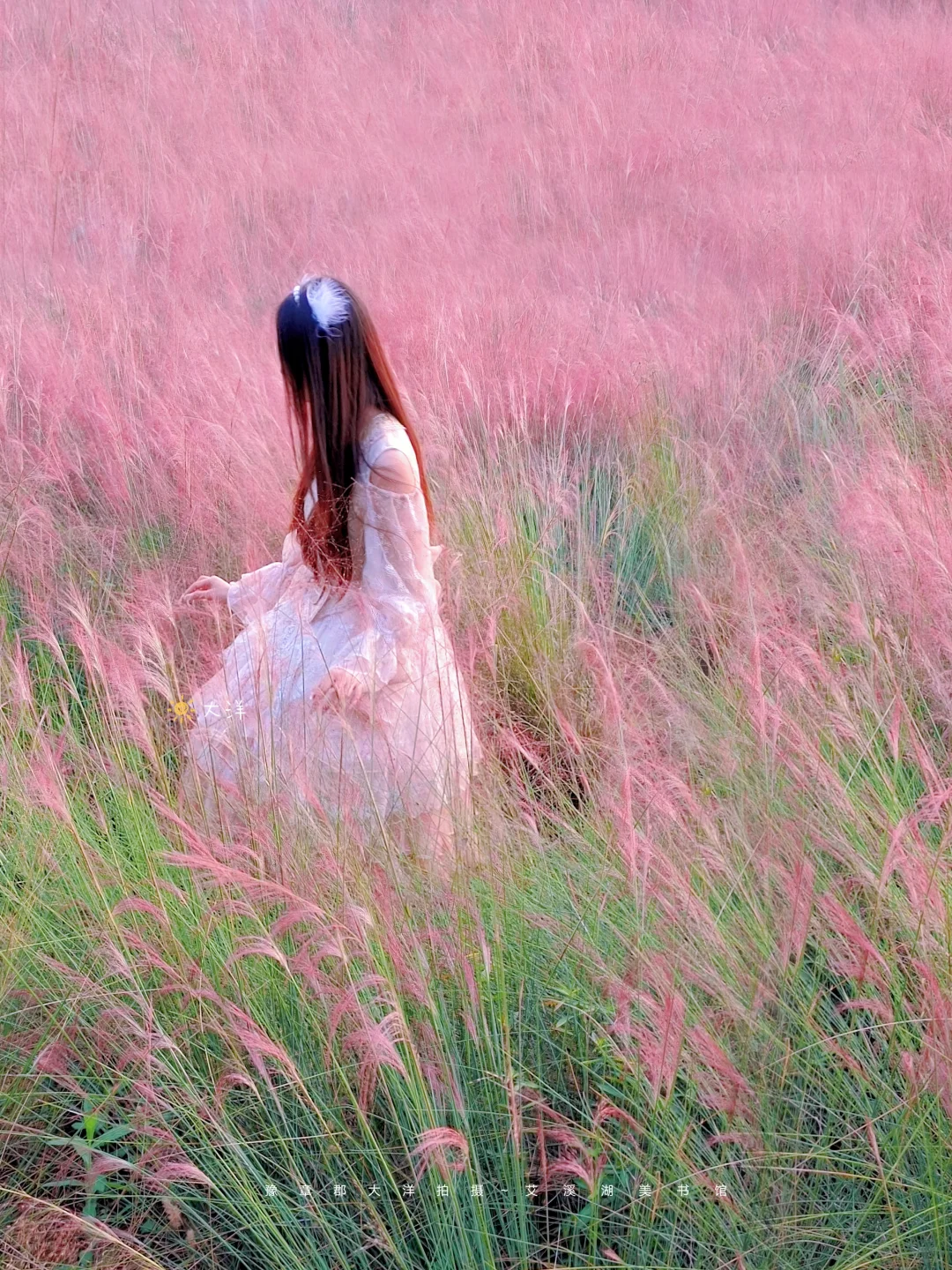 南昌赏秋一条路线全搞定！银杏➕水杉➕粉黛